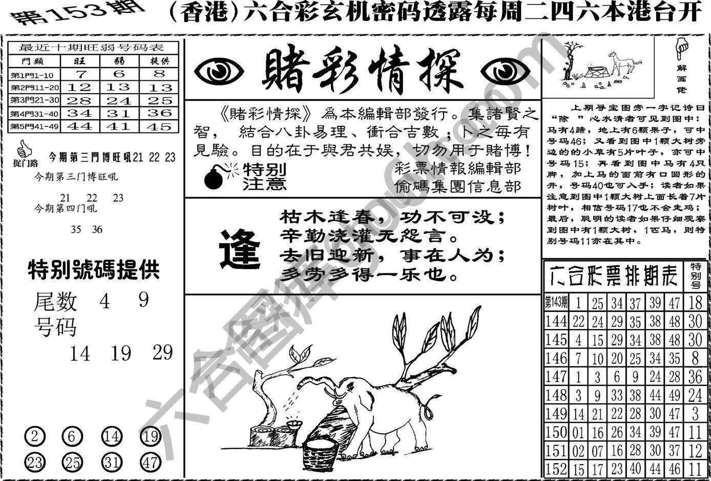 赌彩情探