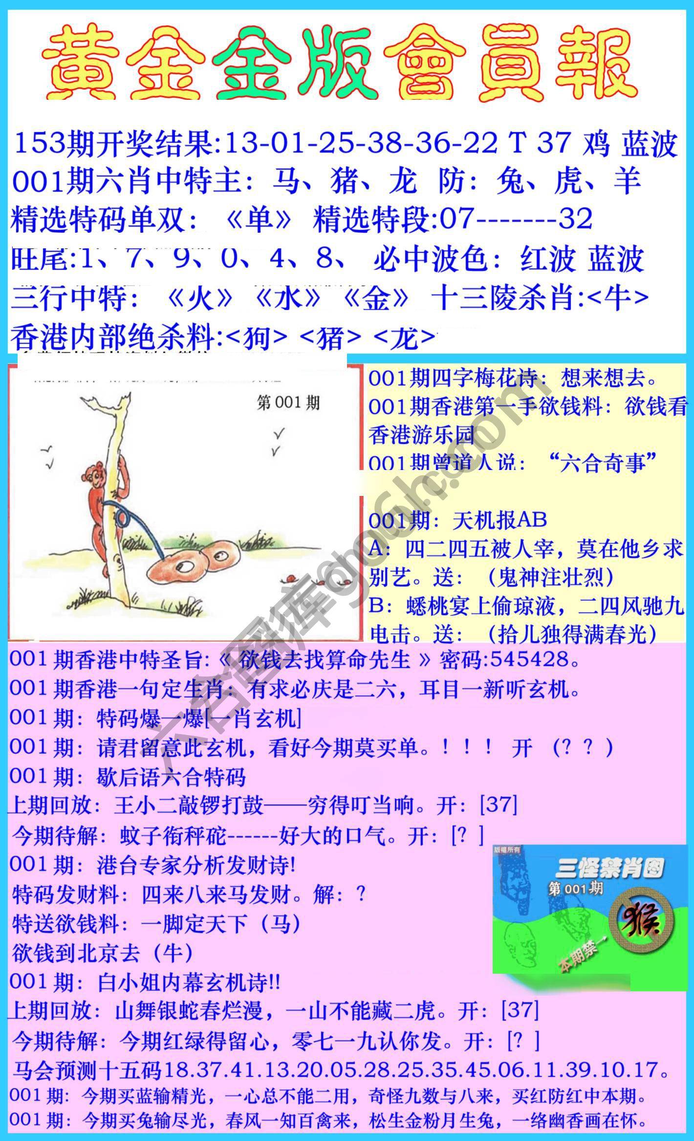 黄金金版会员报