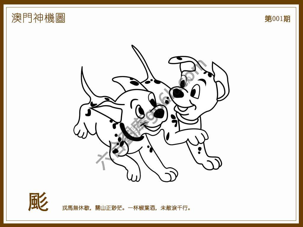 澳门神机图