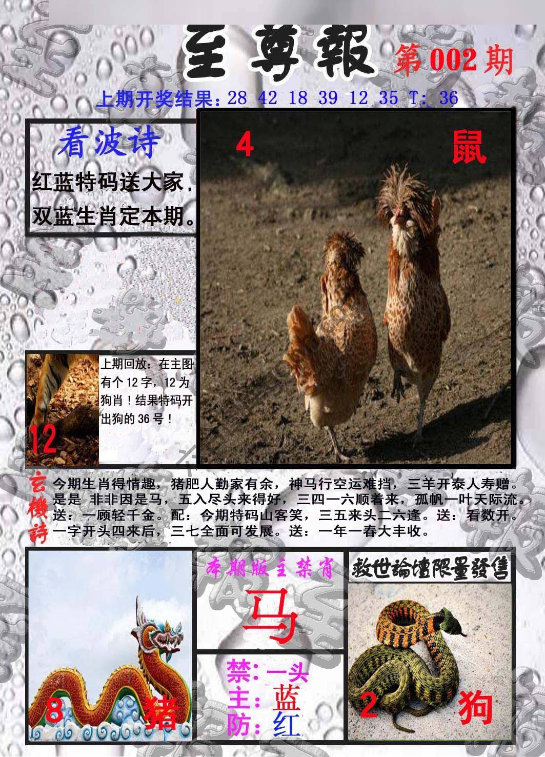 至尊报