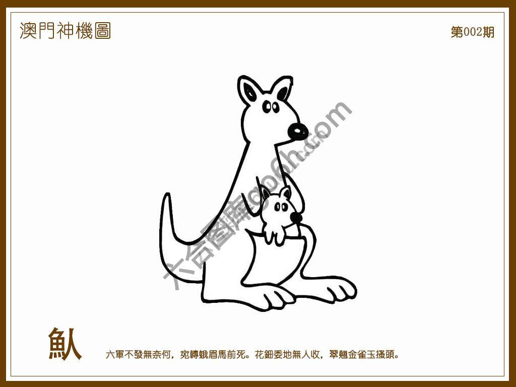 澳门神机图