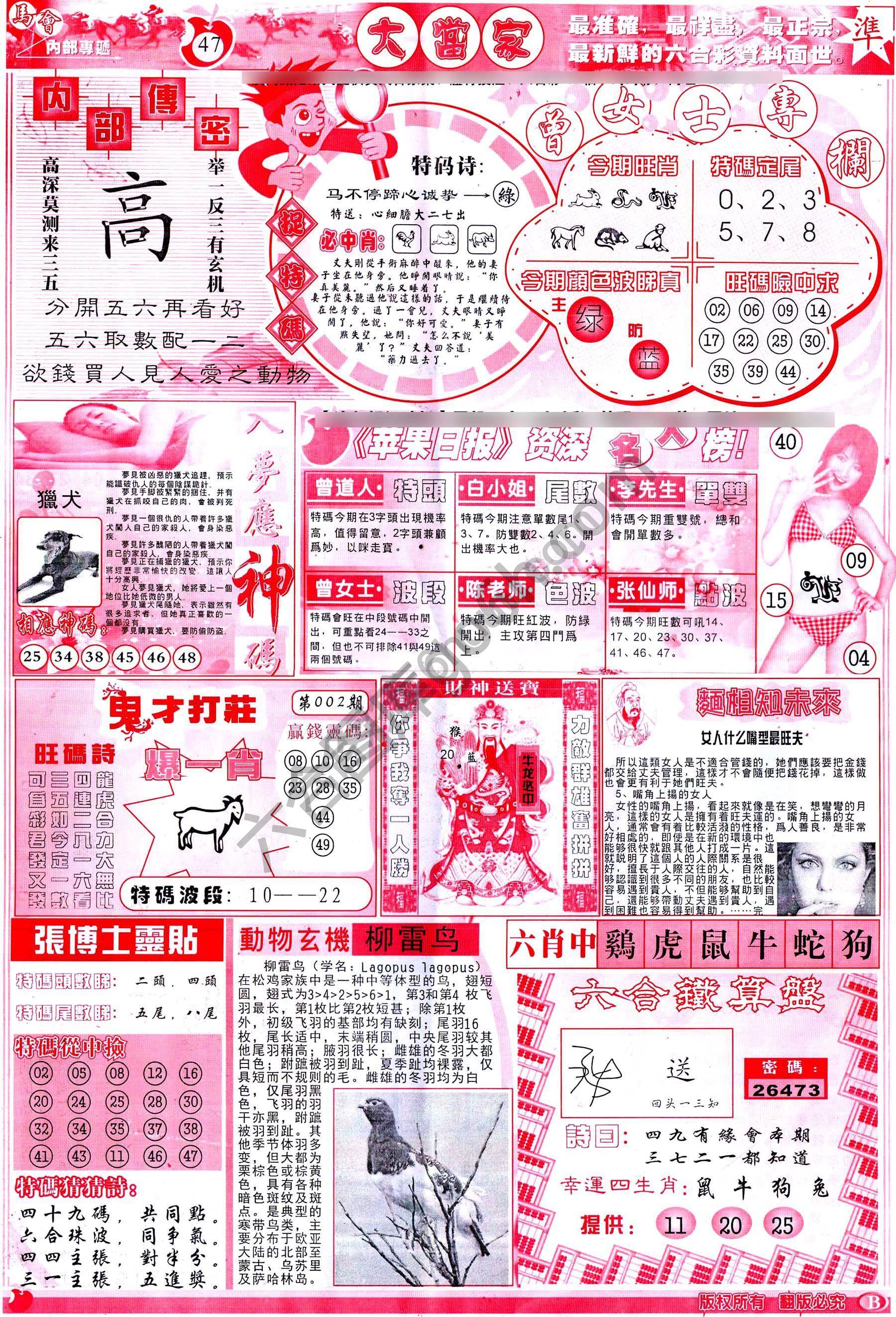 大当家