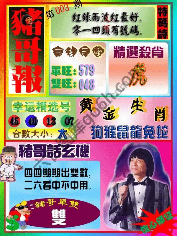 猪哥报
