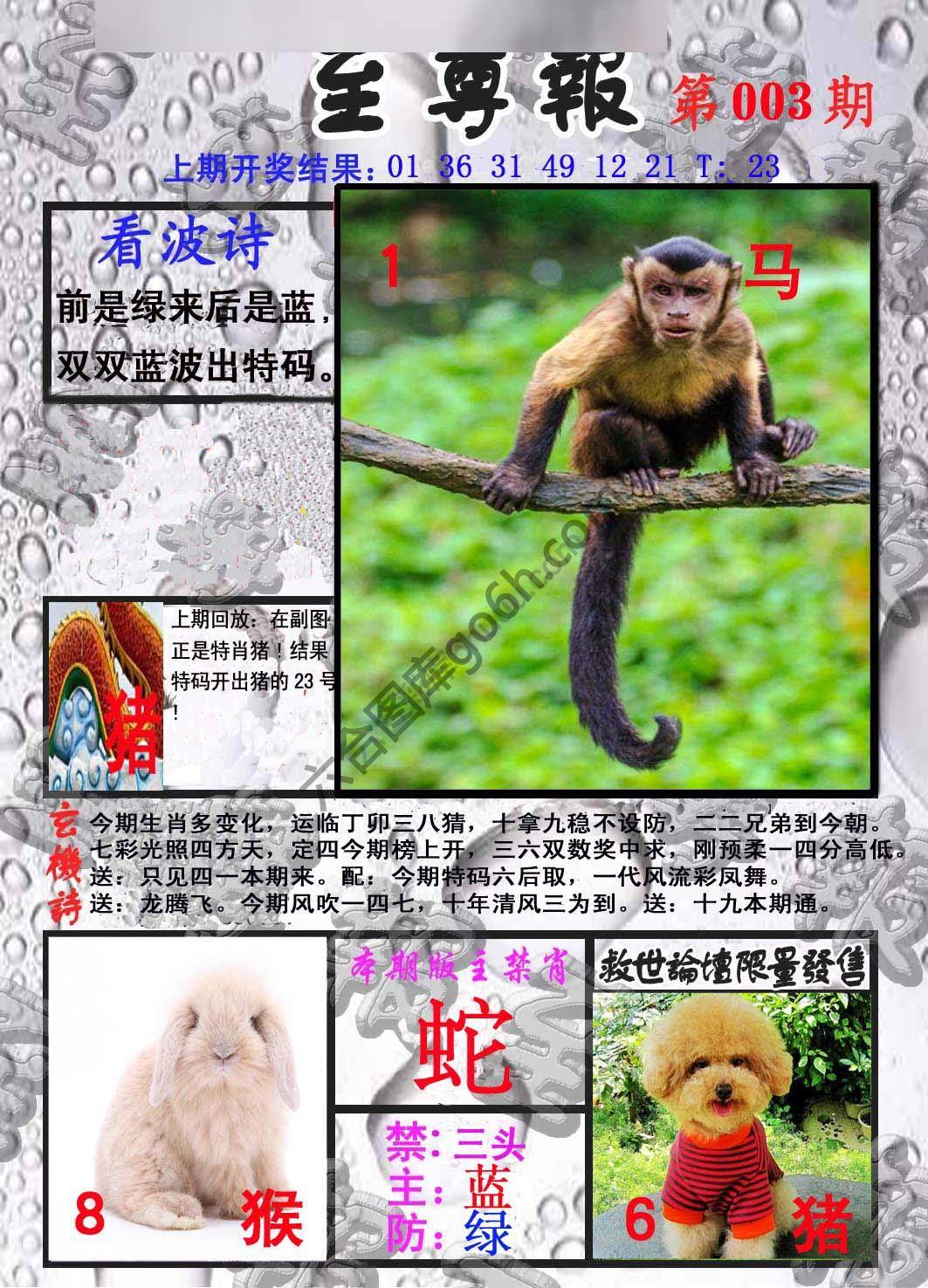 至尊报