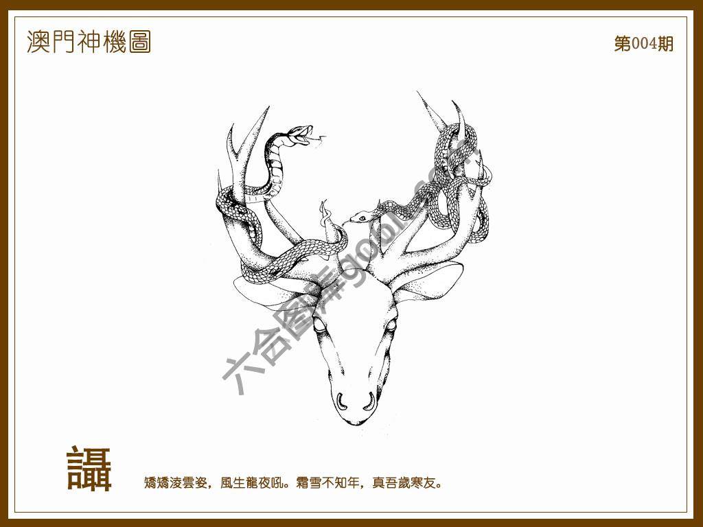 澳门神机图