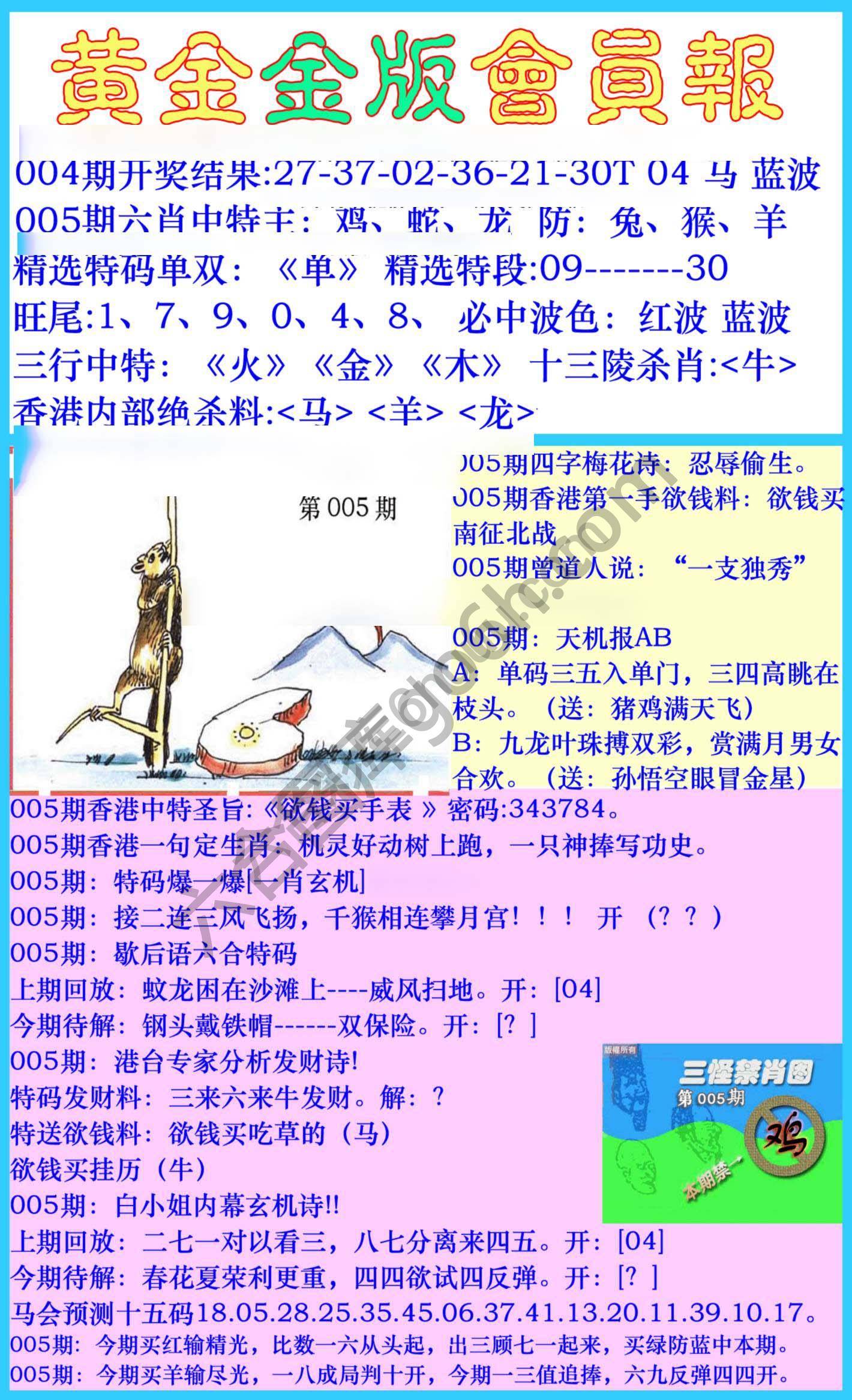 黄金金版会员报