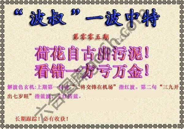 波叔一波中特