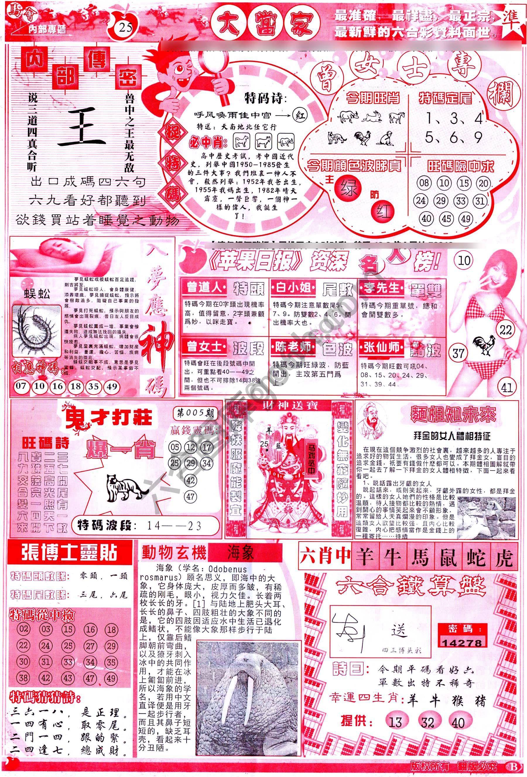 大当家