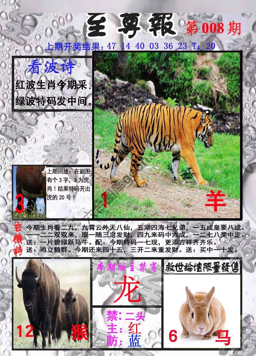 至尊报