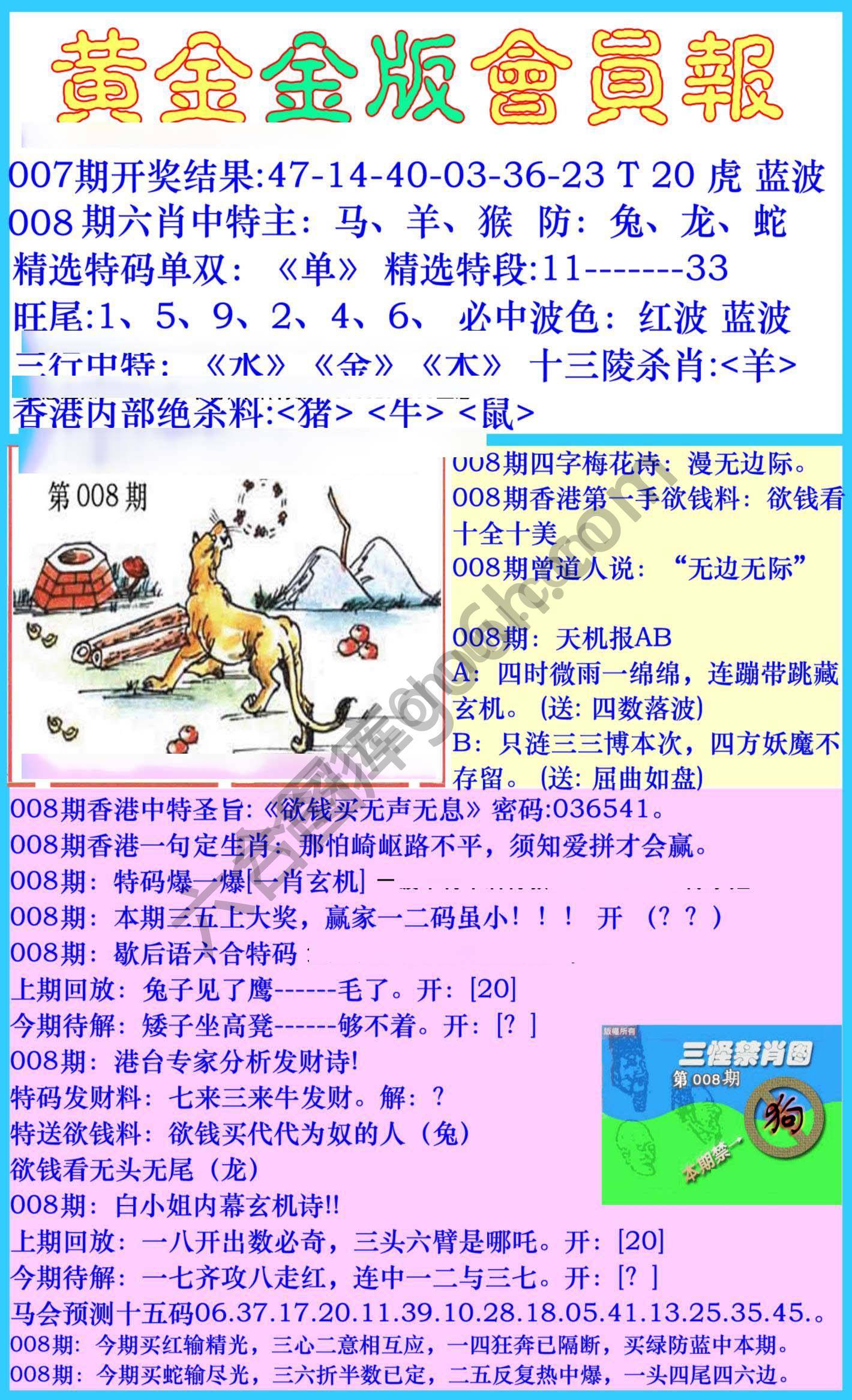 黄金金版会员报