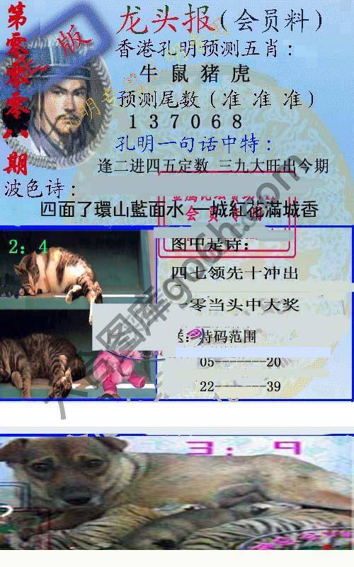 龙头报