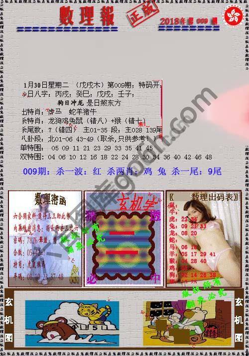 数理报