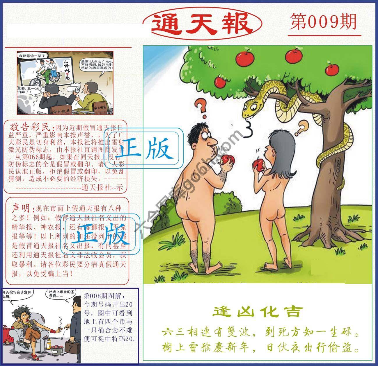 正版通天报