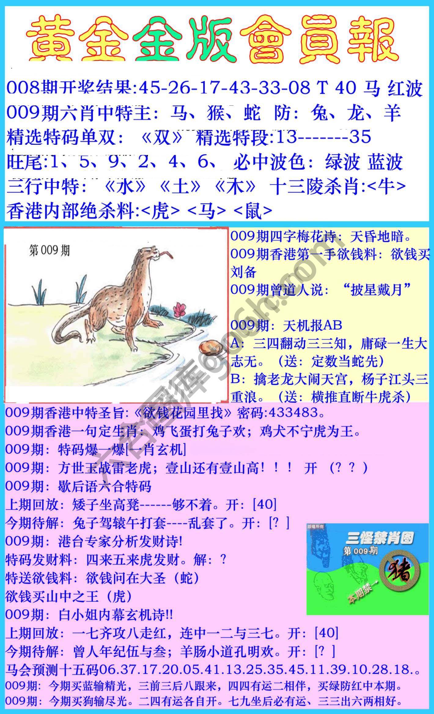 黄金金版会员报