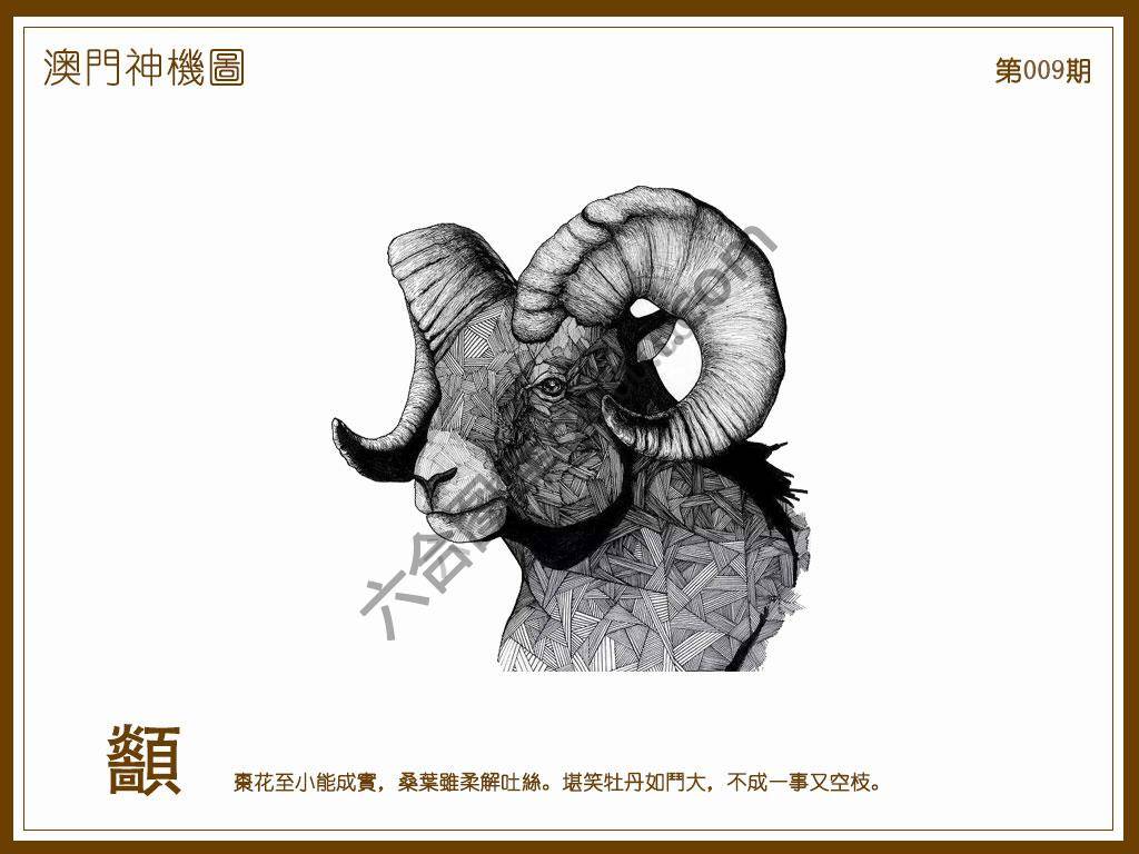 澳门神机图