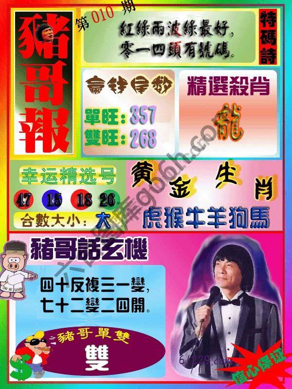猪哥报