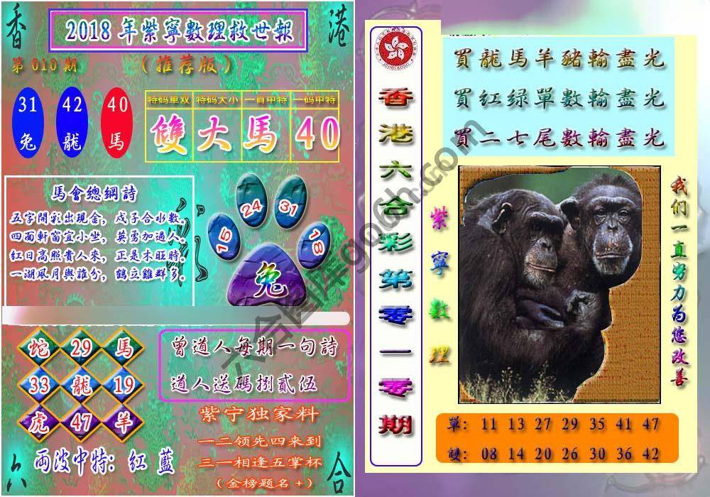 数理救世报