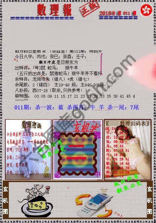数理报