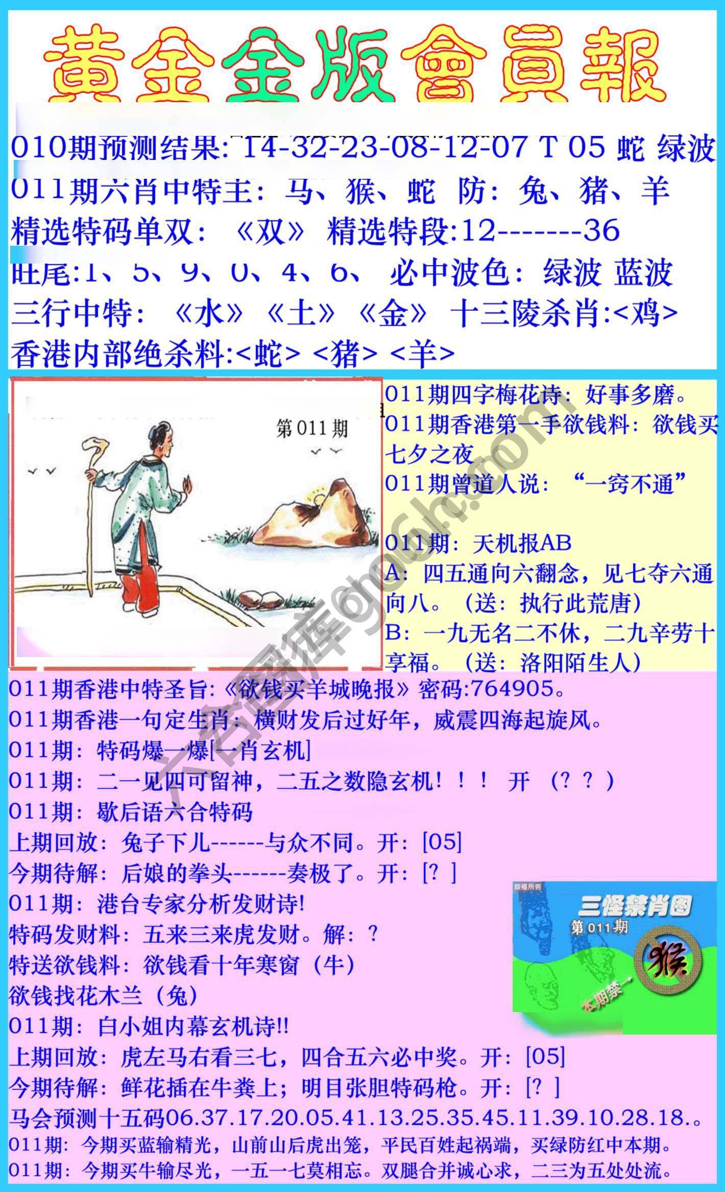 黄金金版会员报