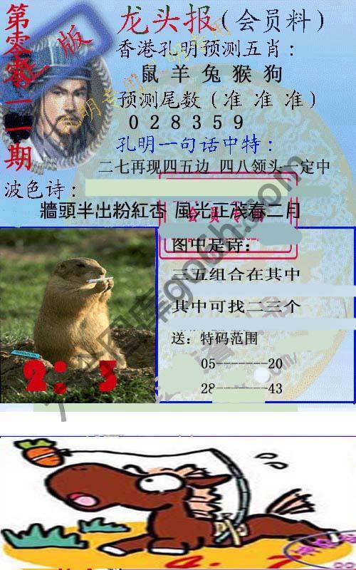龙头报
