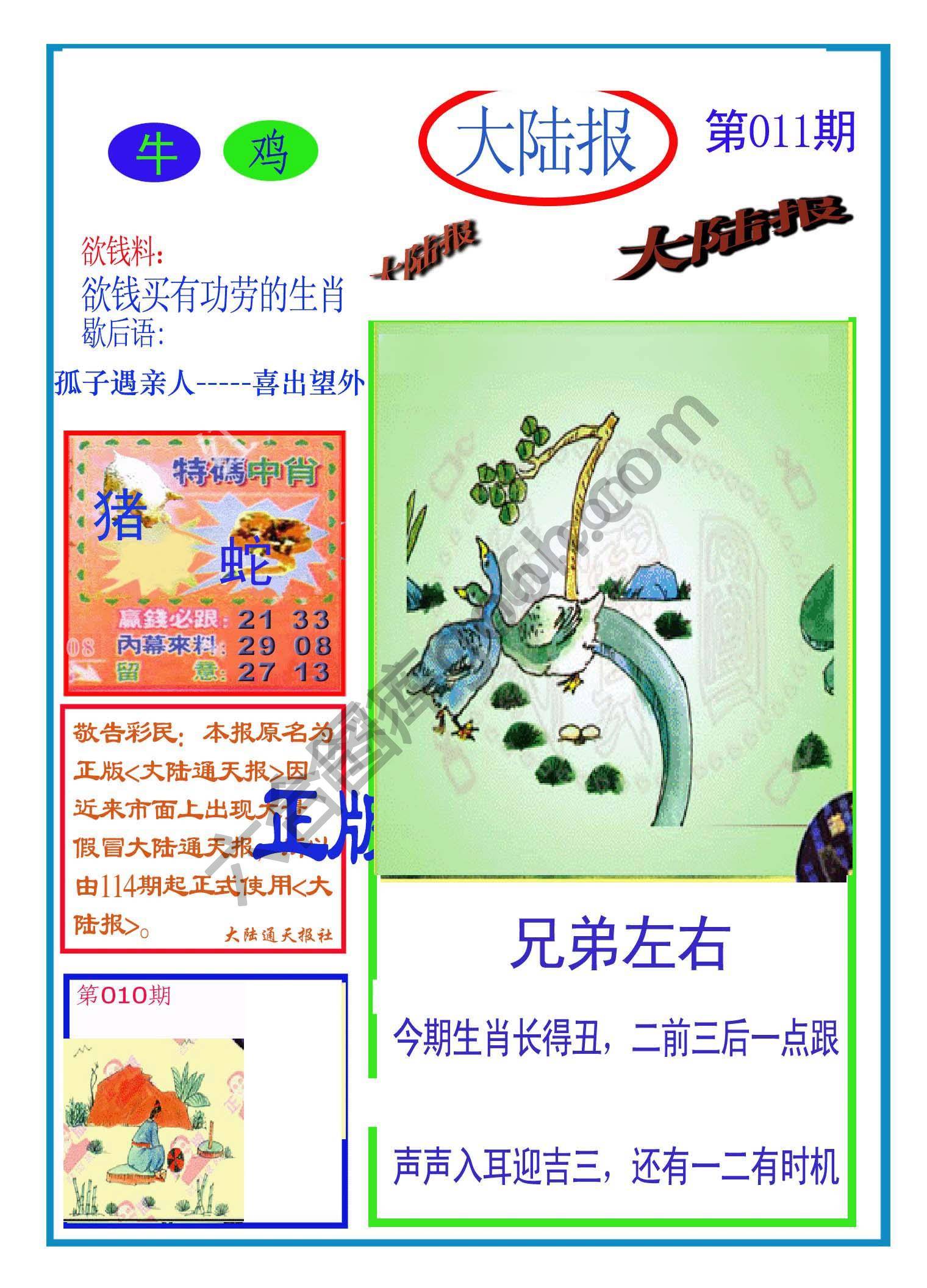 大陆报