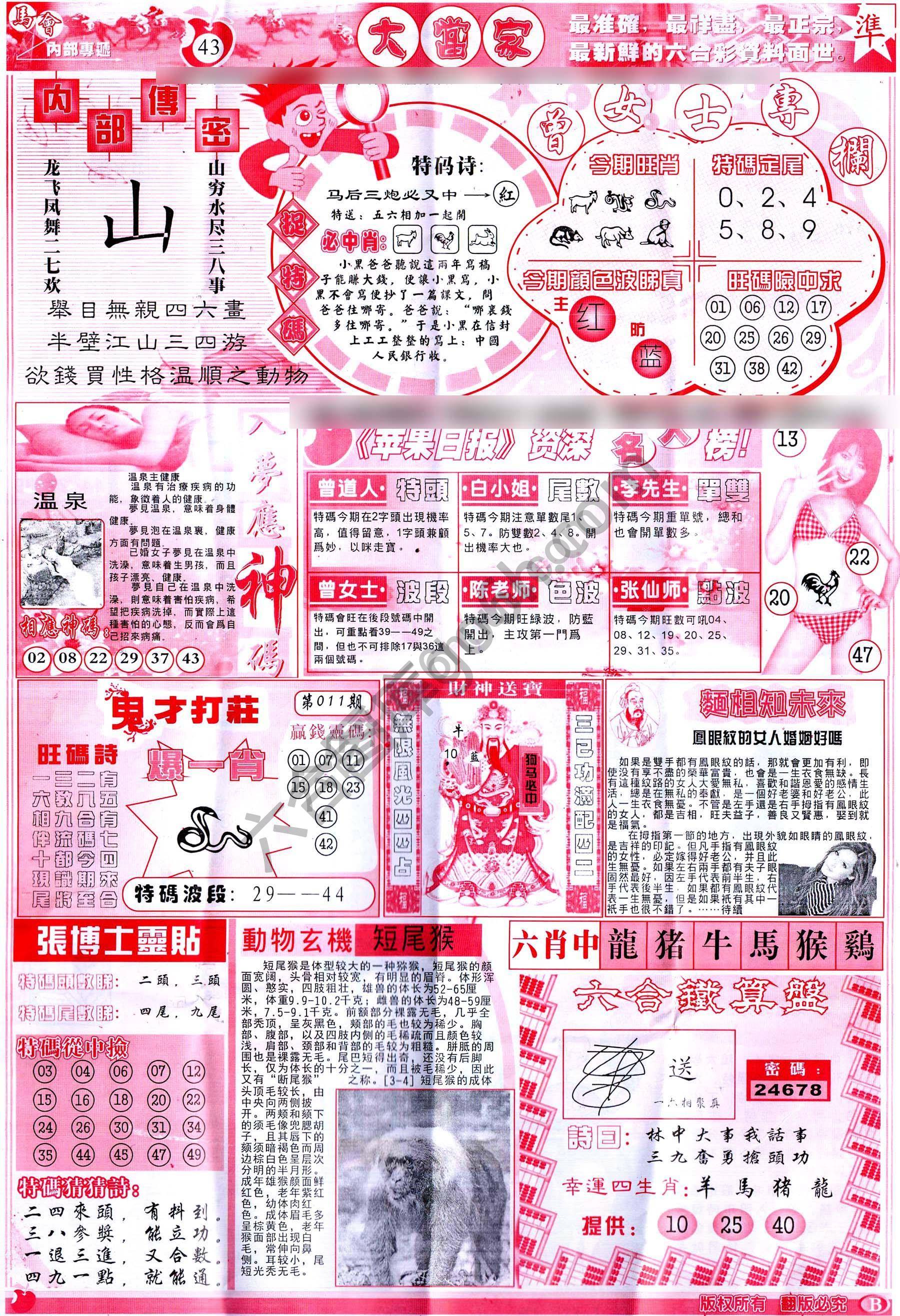 大当家
