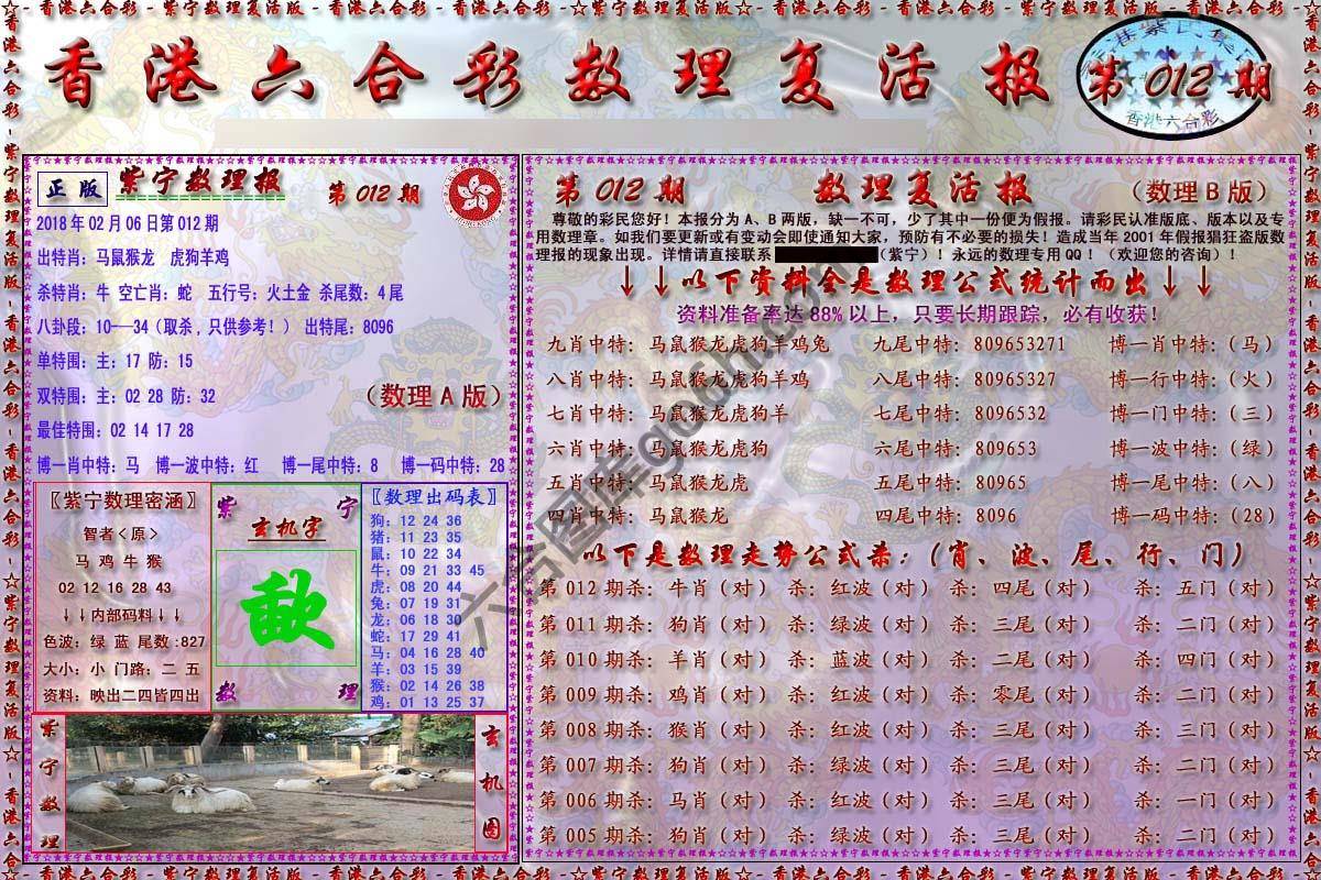 数理复活报