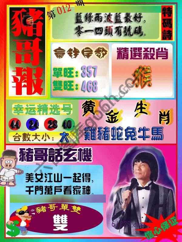 猪哥报
