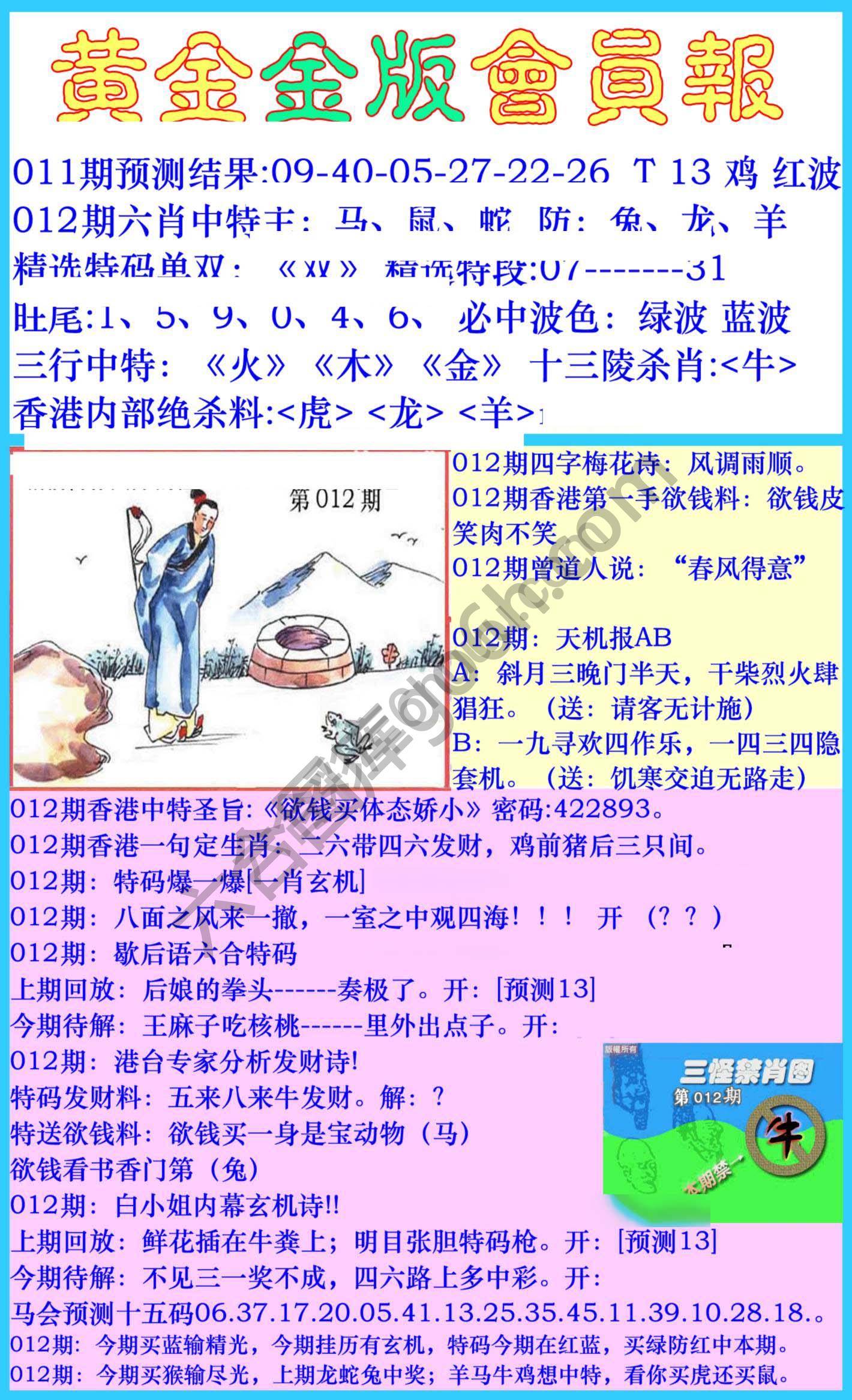 黄金金版会员报