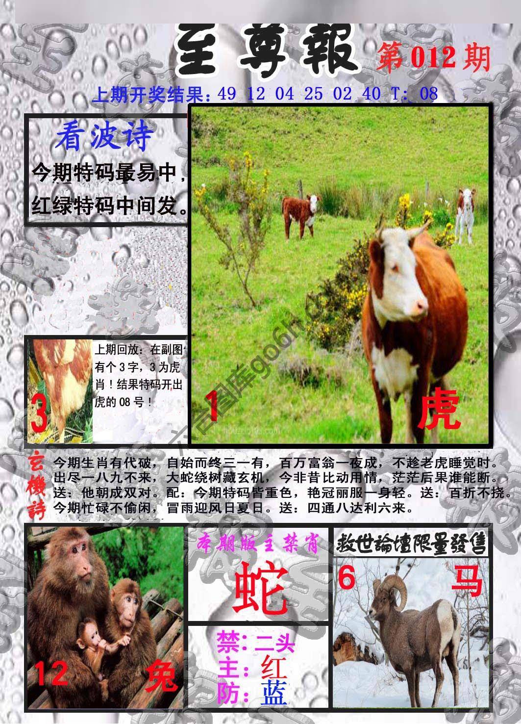至尊报