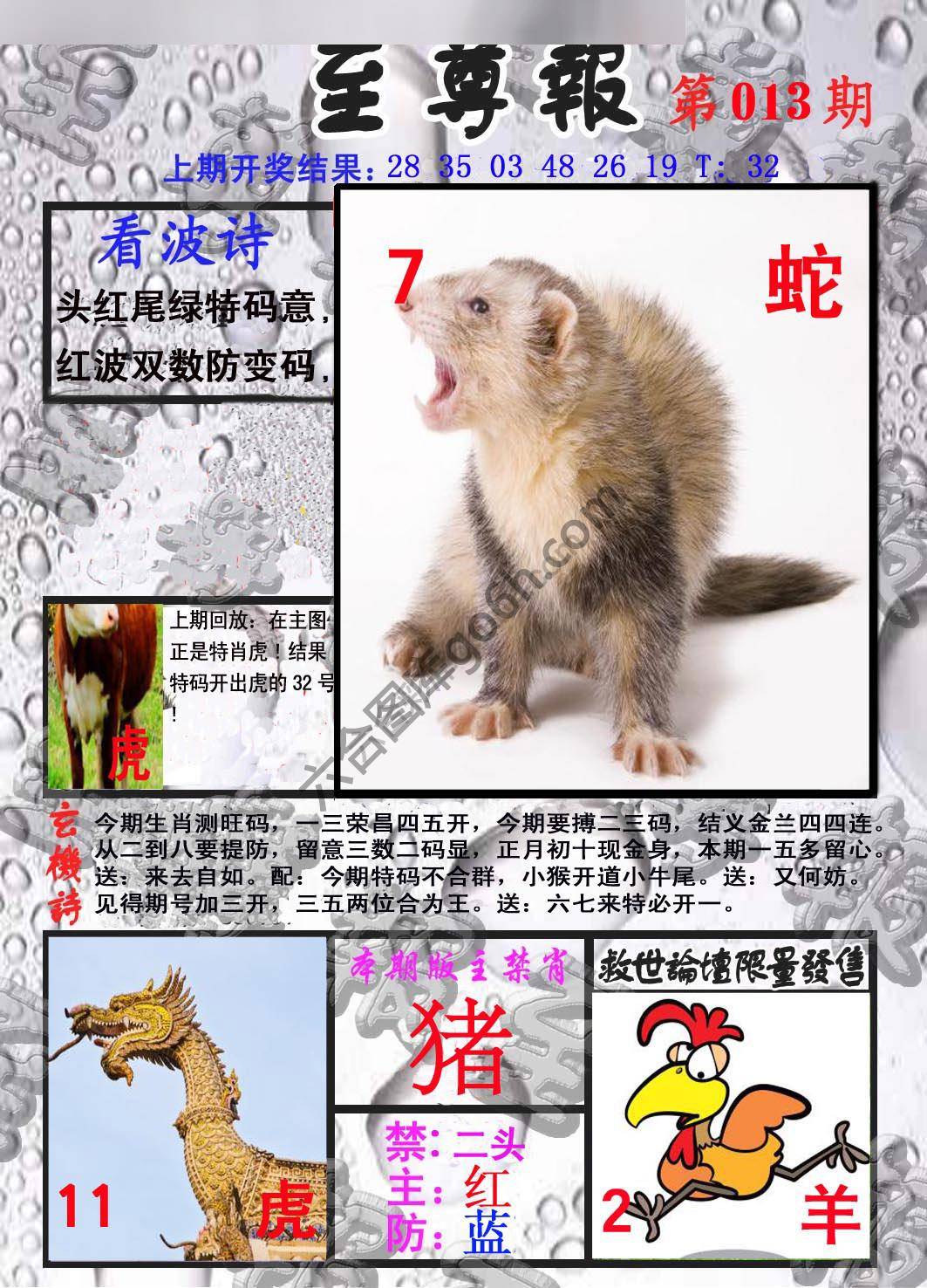 至尊报