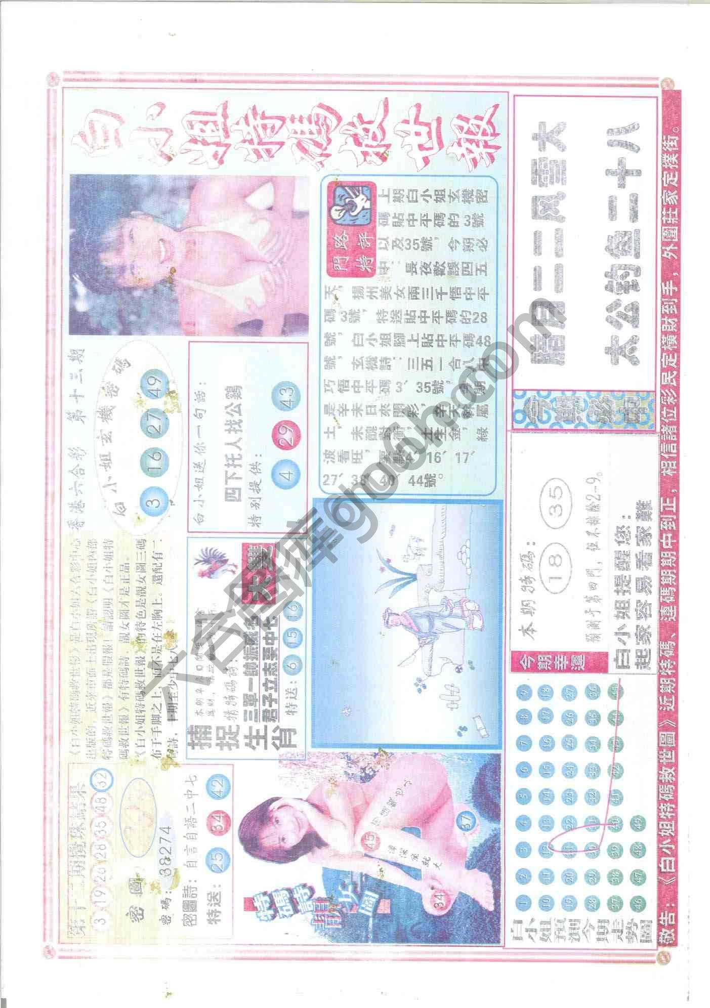 白小姐特码救世报