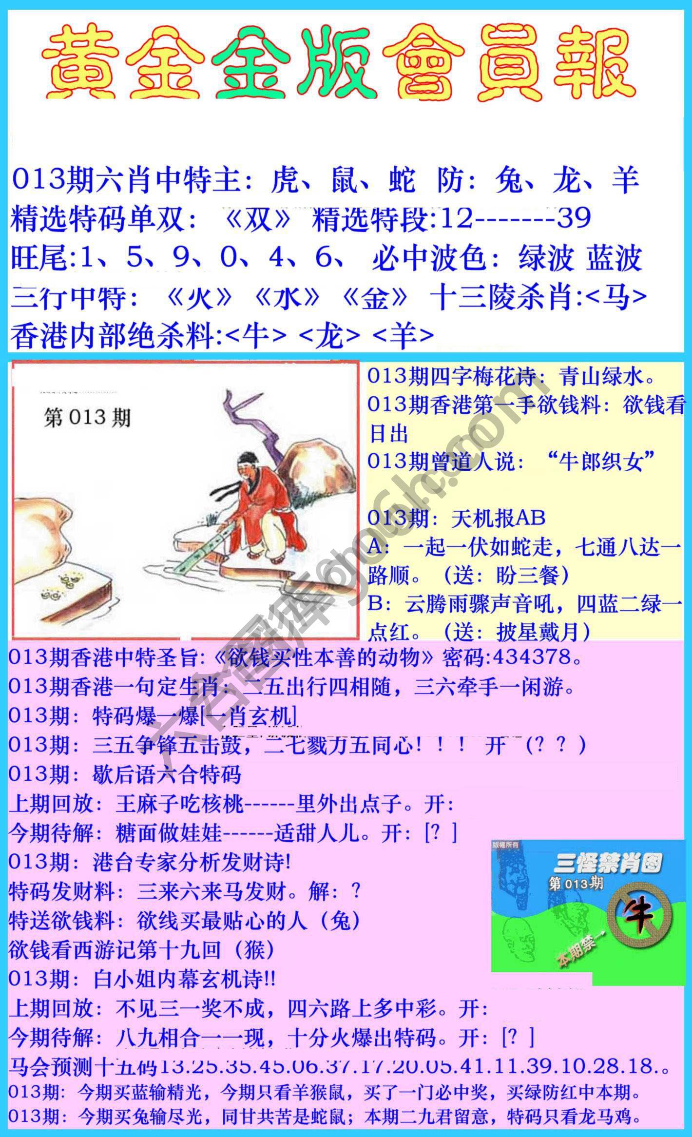 黄金金版会员报