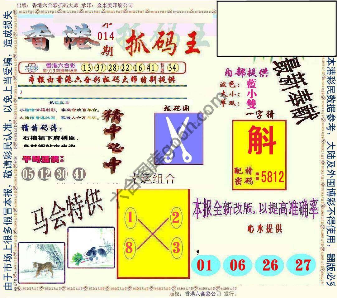 新抓码王