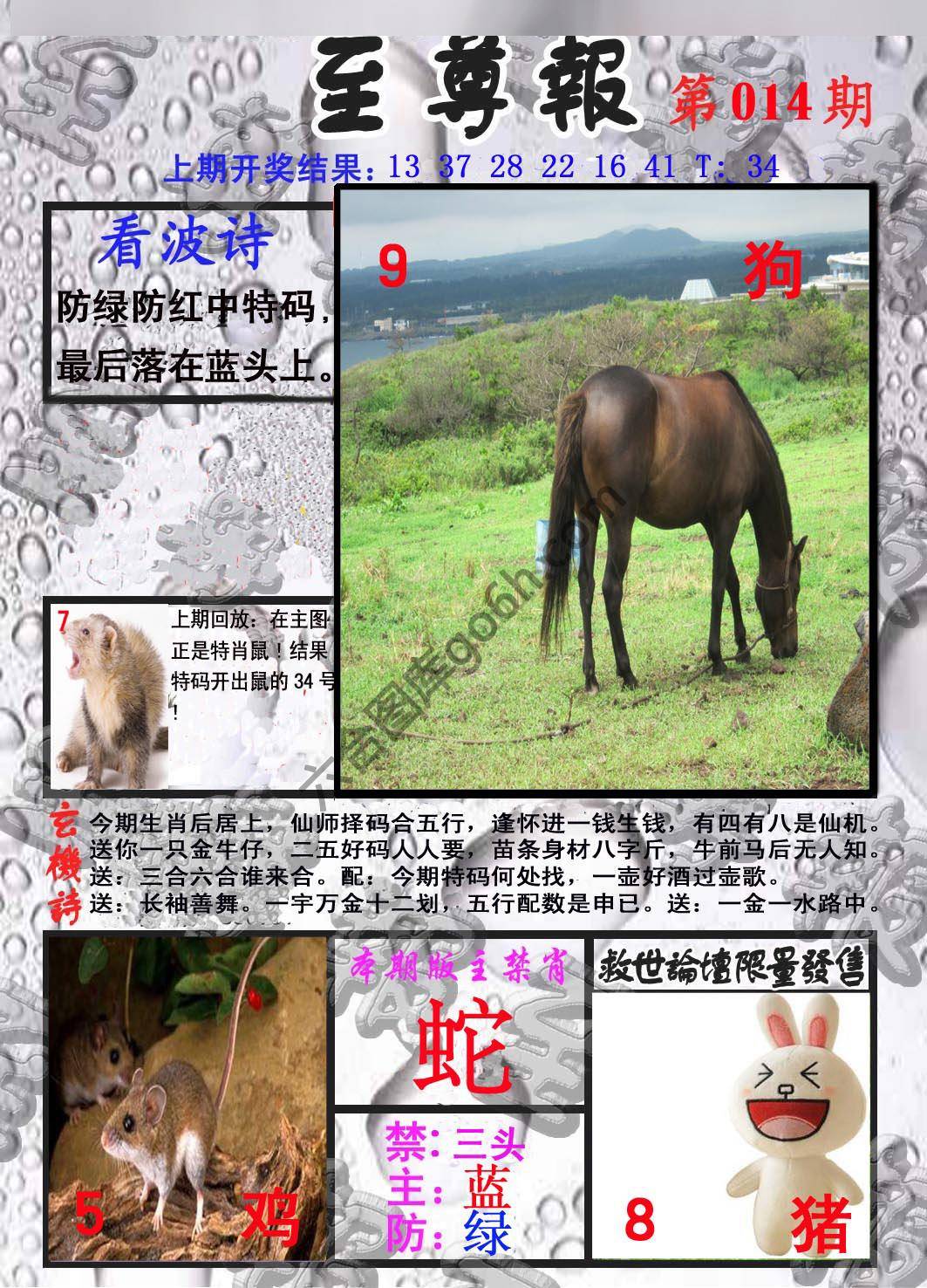 至尊报