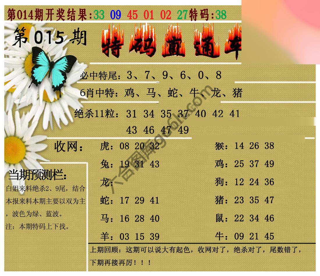 特码直通车