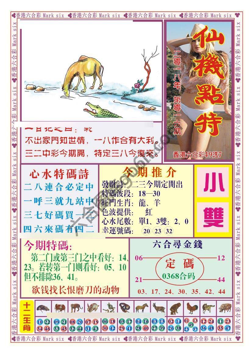 仙机点特