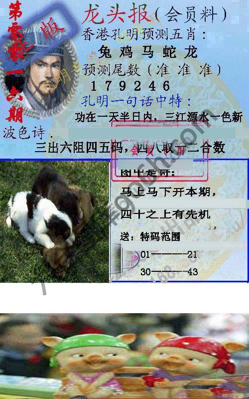 龙头报