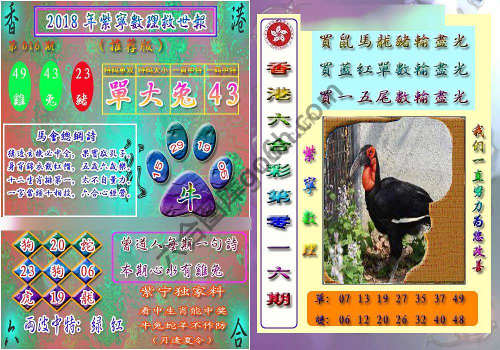 数理救世报