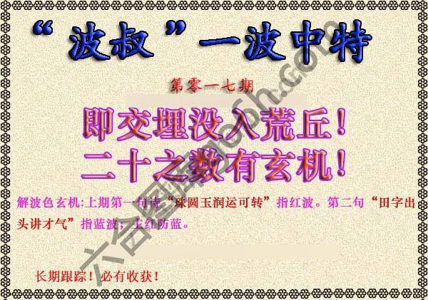 波叔一波中特