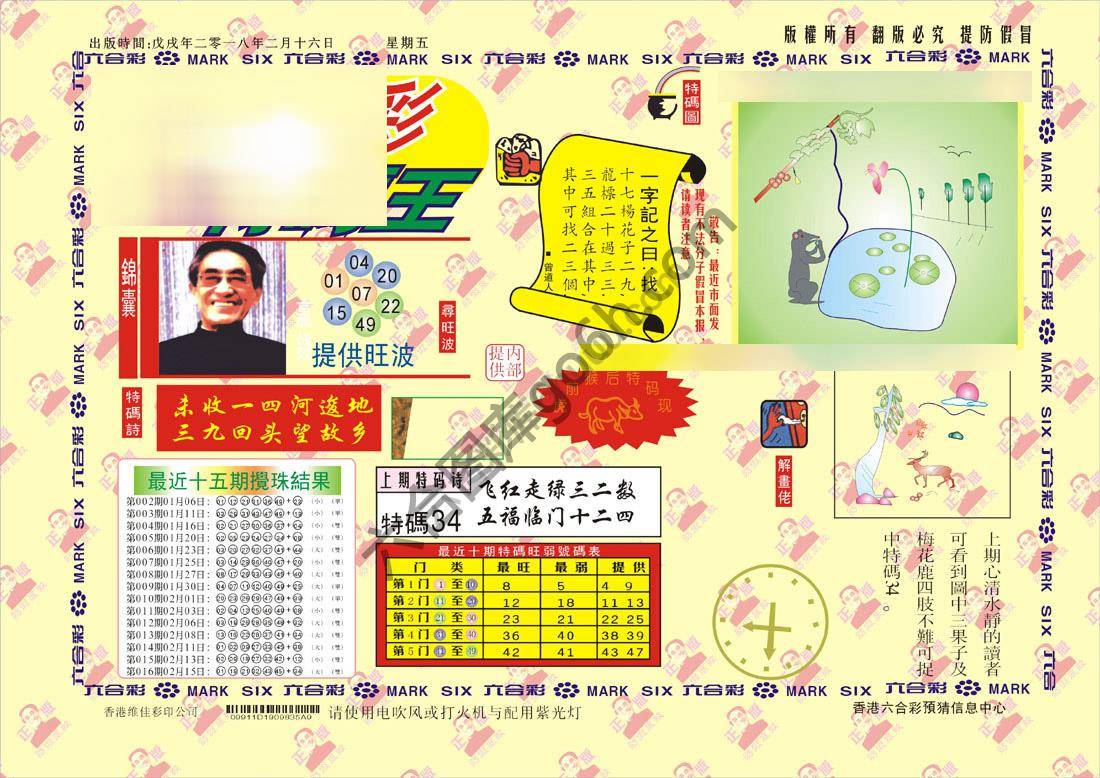 特码王
