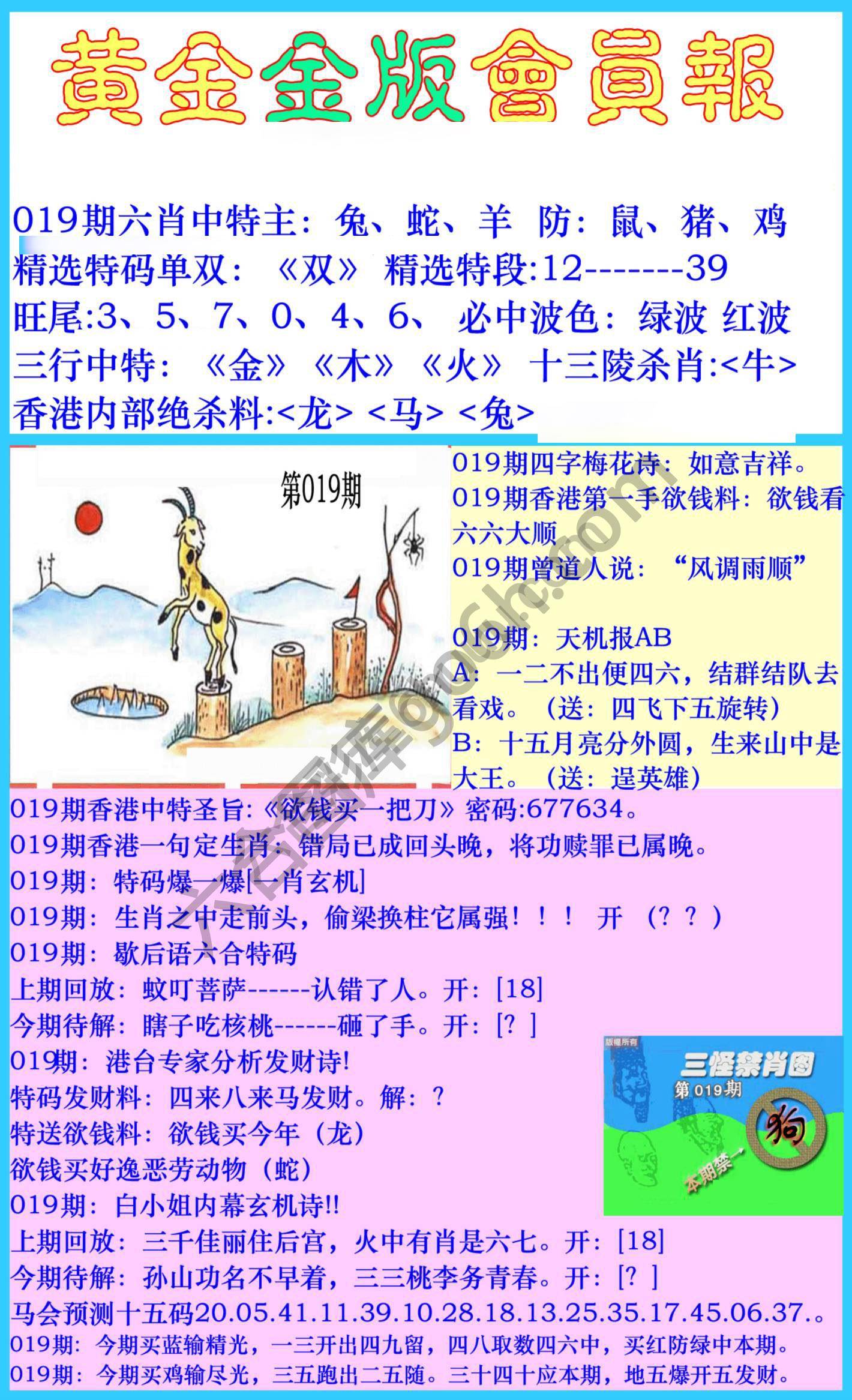 黄金金版会员报