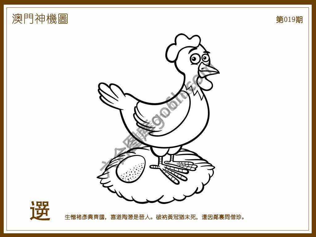 澳门神机图