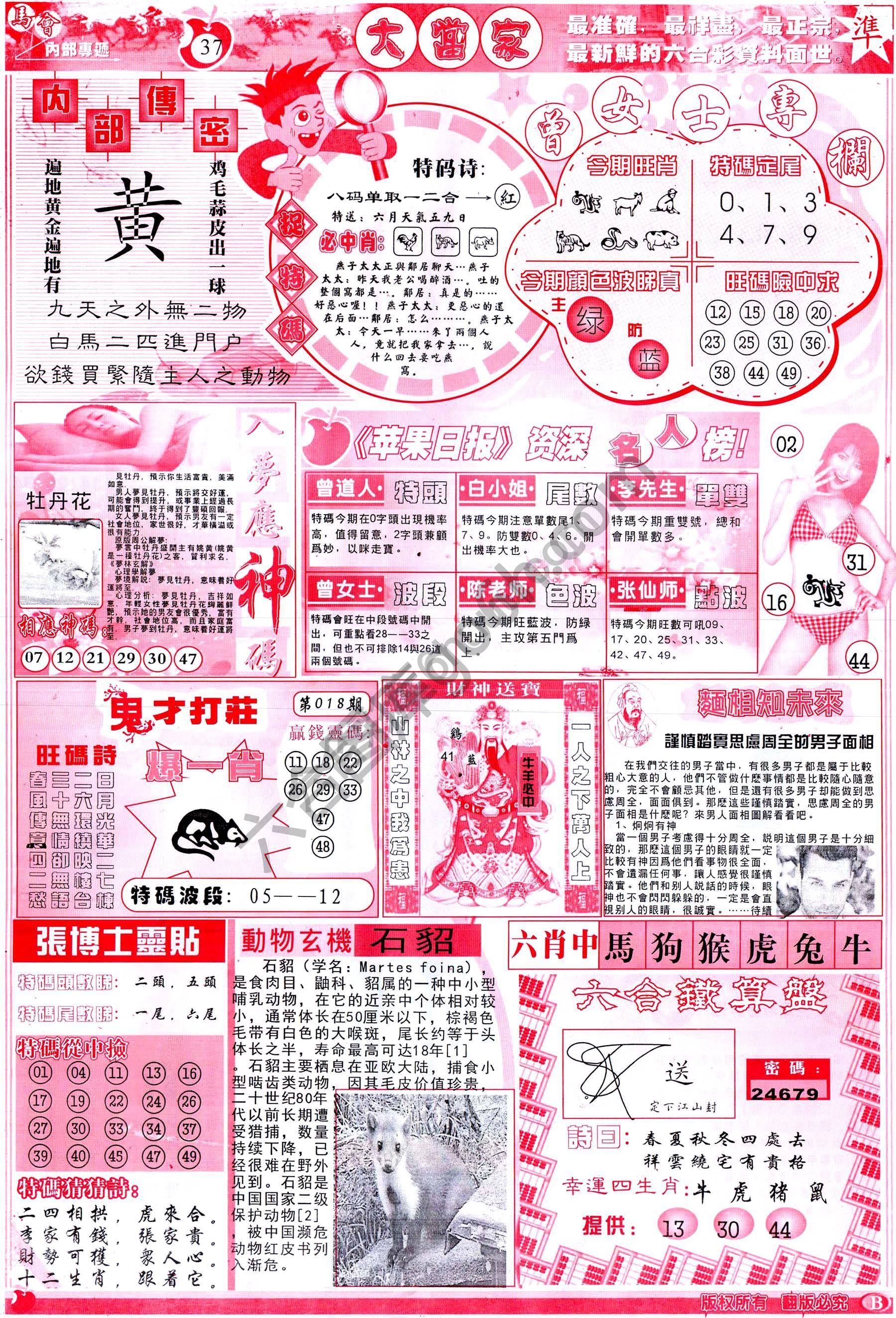 大当家