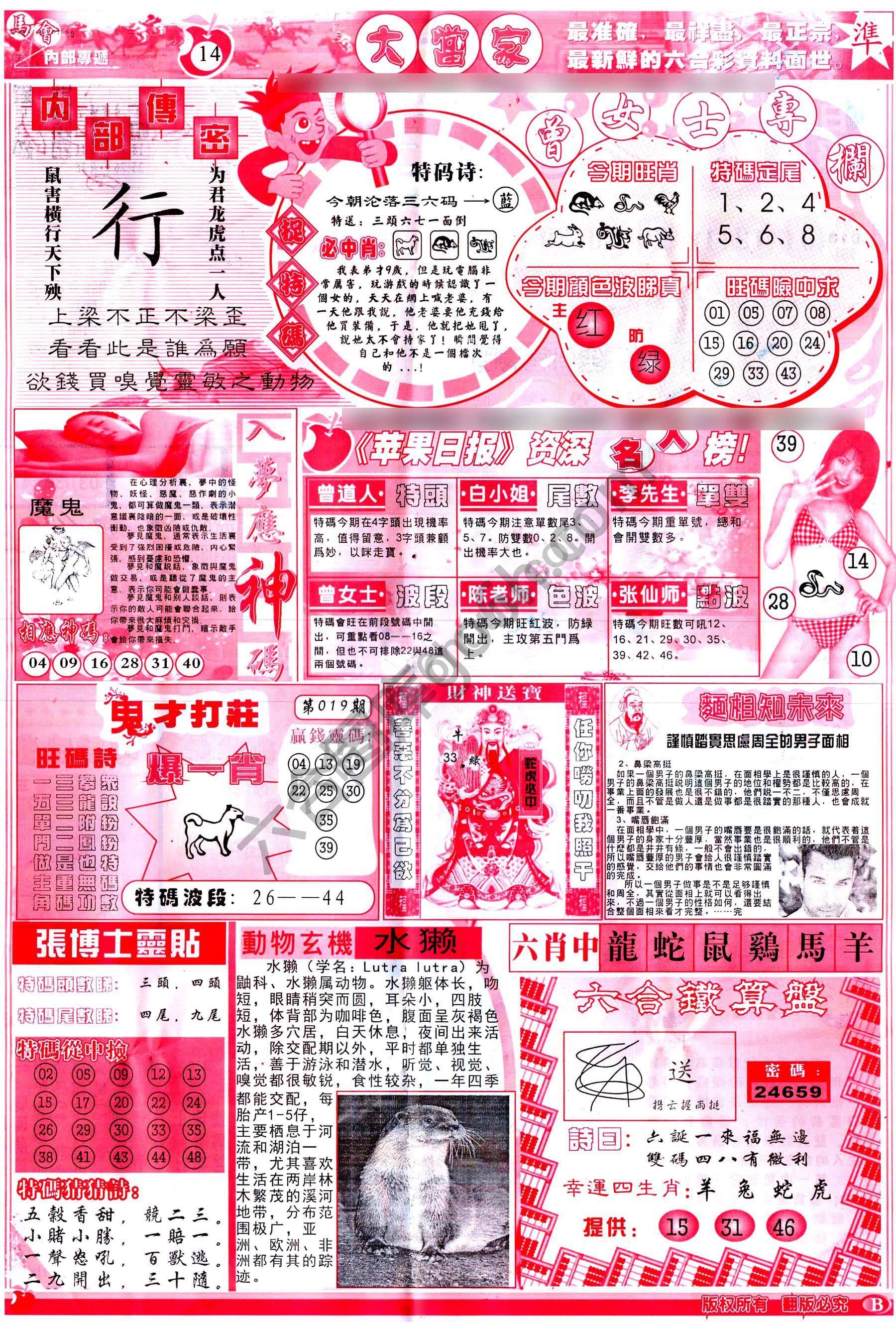 大当家