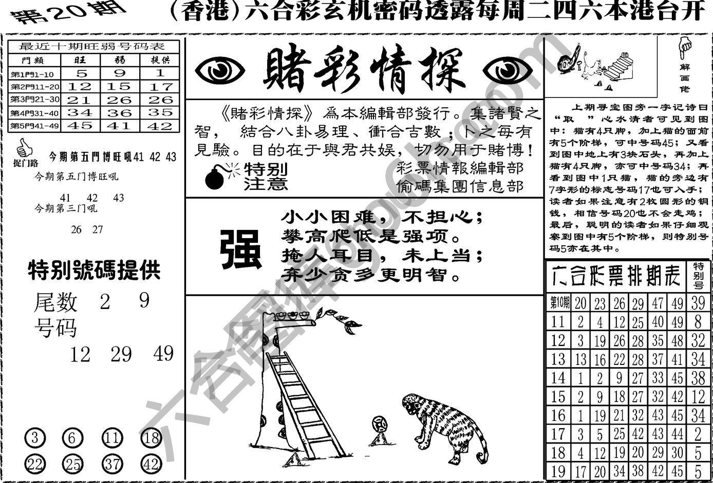 赌彩情探
