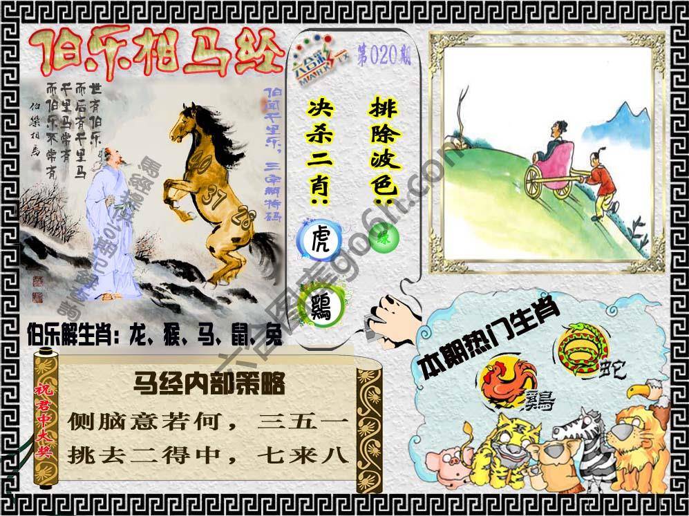 伯乐相马经