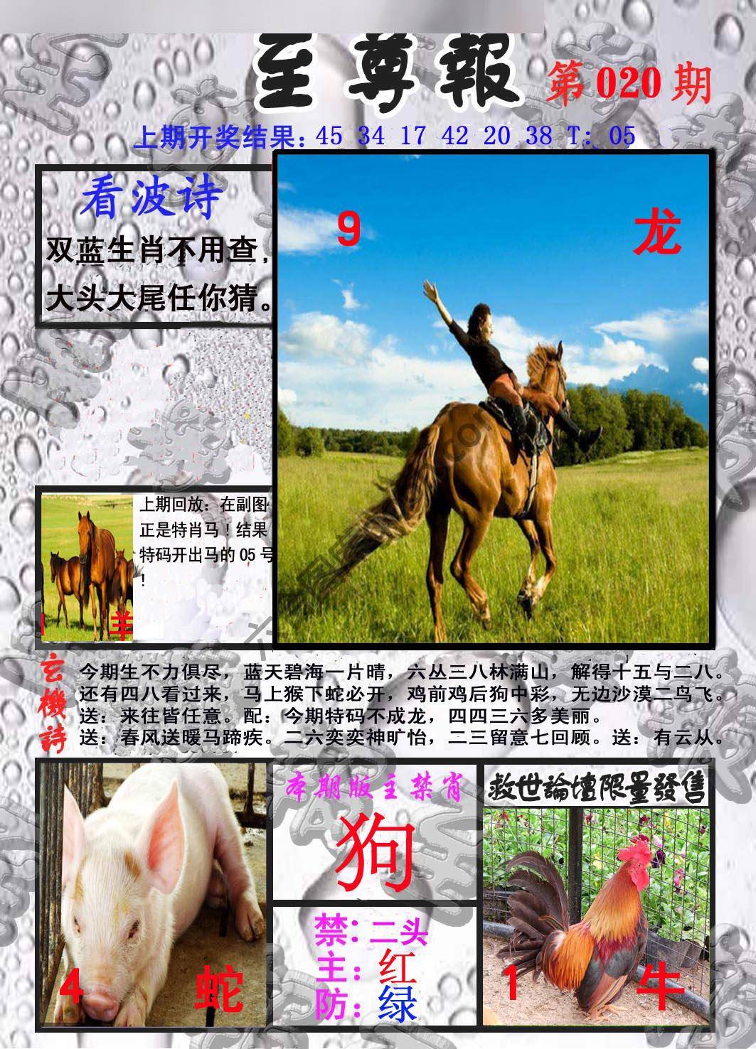 至尊报