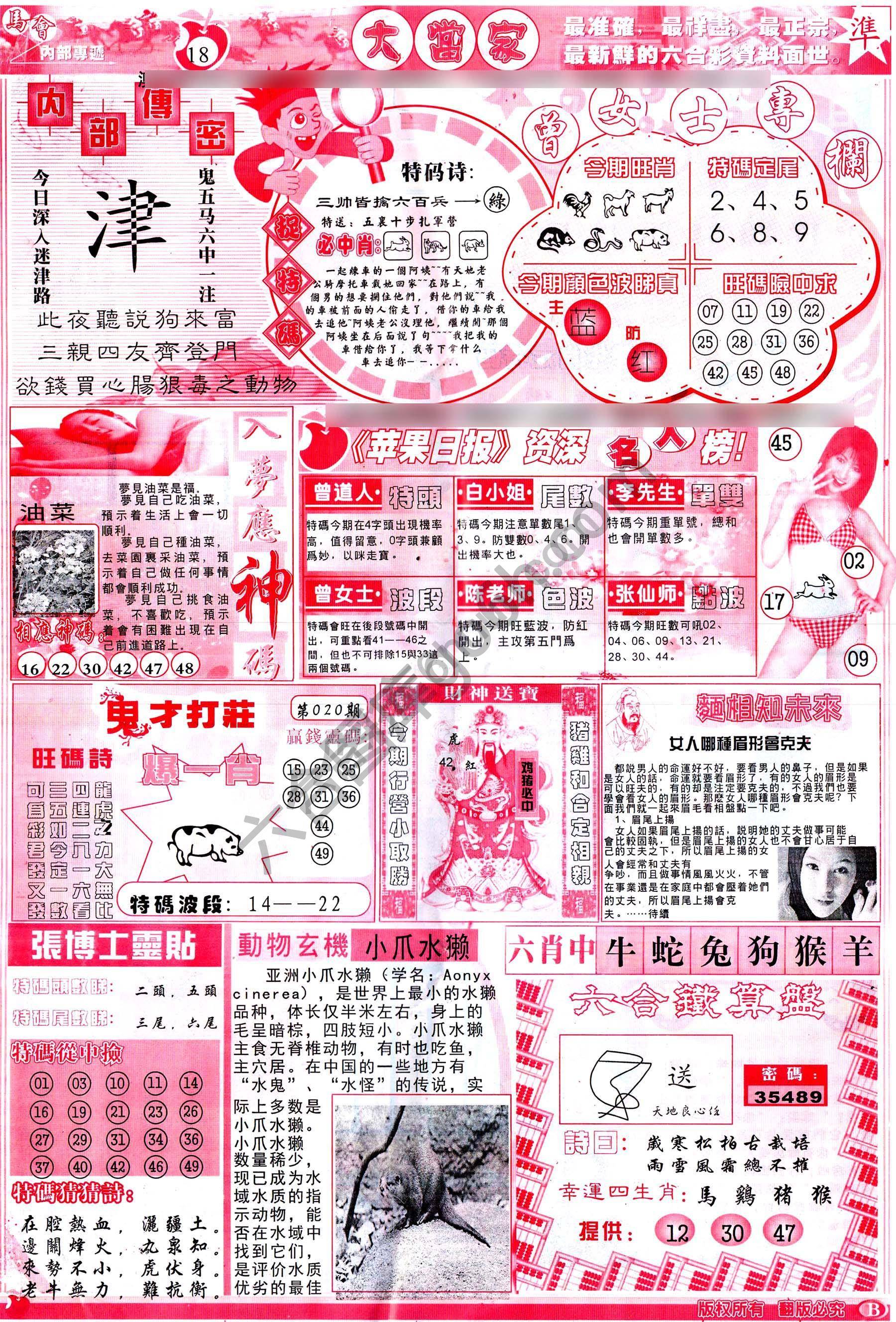 大当家