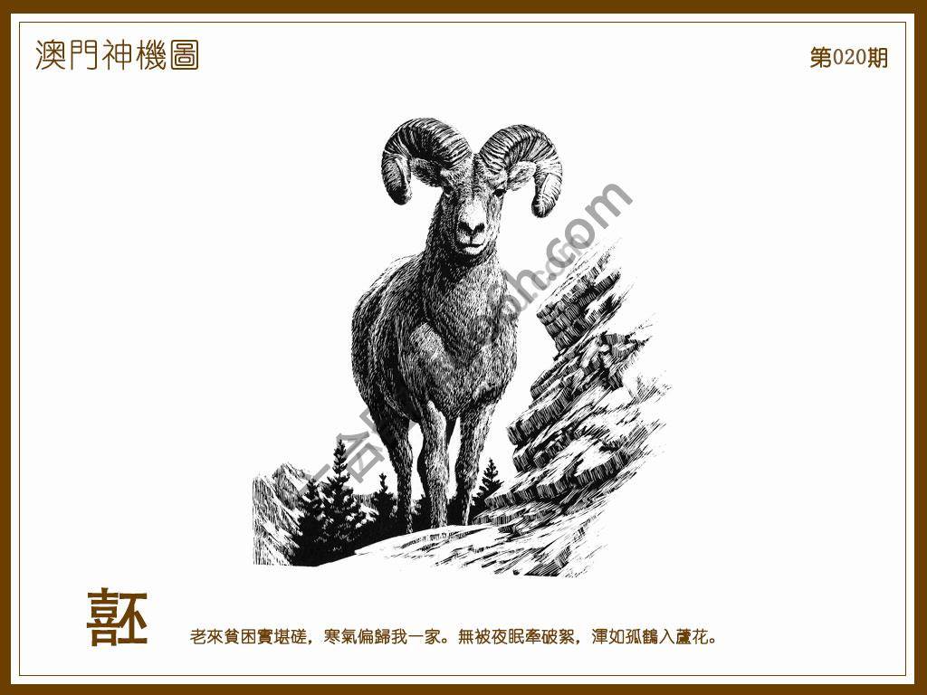 澳门神机图